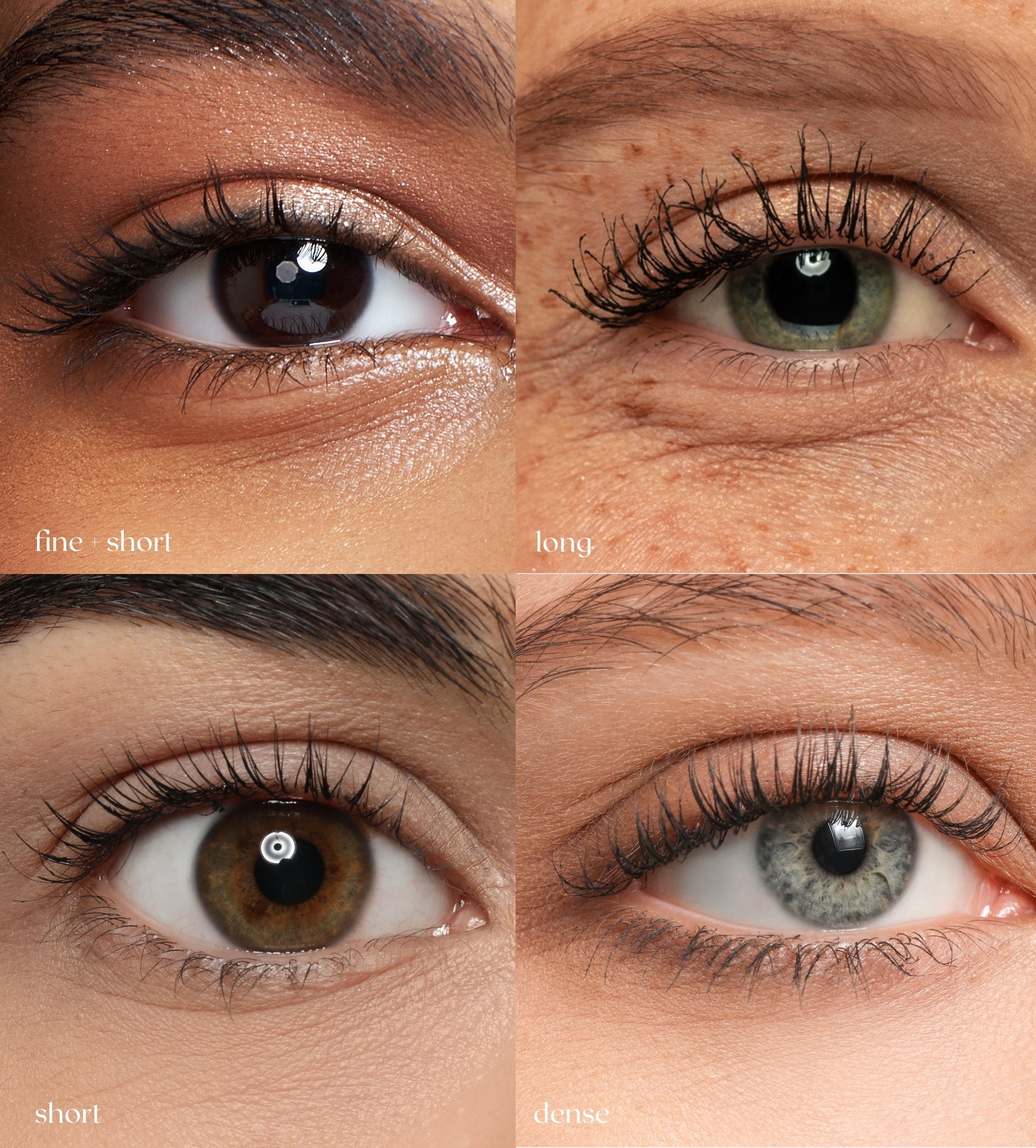 Lash Lift Duo